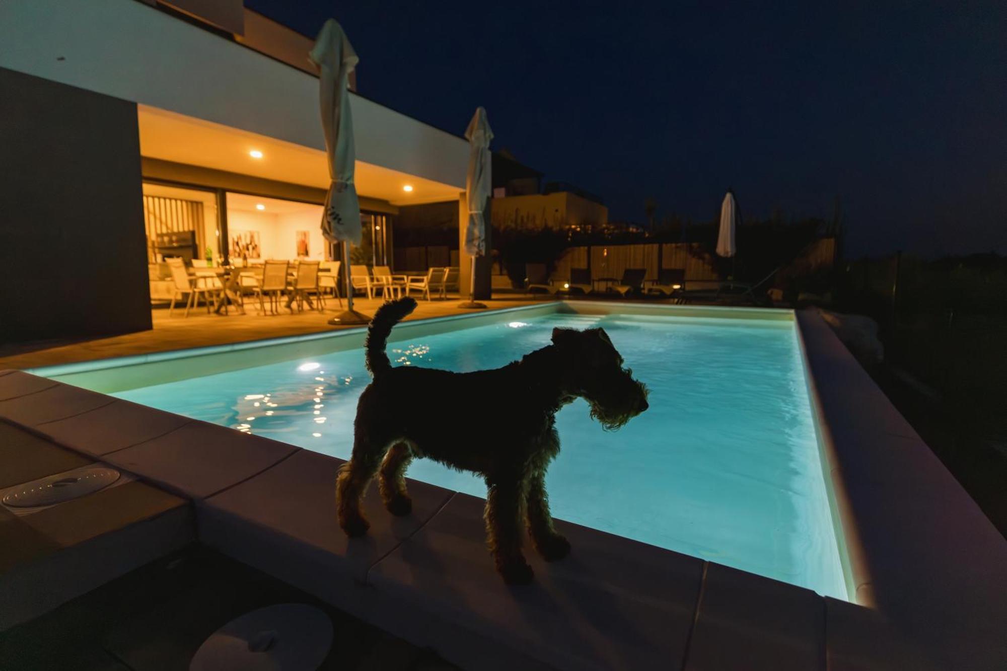 Villa Boiky - Private Pool And Amazing Sea View, Istria Materada Exterior foto